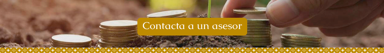 contacta asesor
